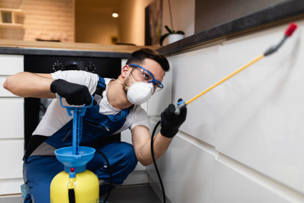 Best Emergency Pest Control  in Murphy, NC
