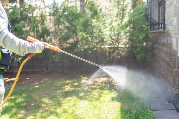 Best Exterminator Services  in Murphy, NC